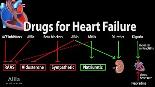 Pharmacology: Drugs for Heart Failure, Animation