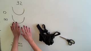 Finding the perfect Bra fit with the Bra Professor