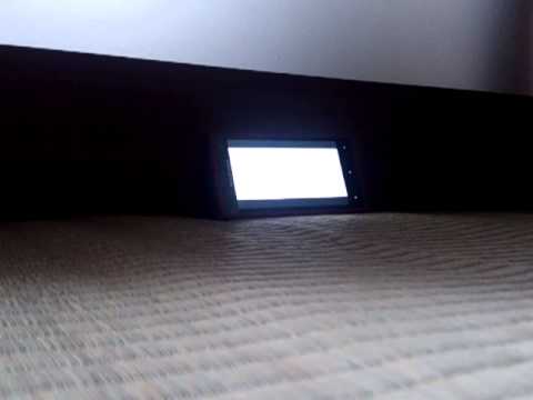 ヴェノマニア公の狂気