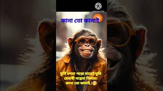 মেধাবী কিন্তু কানা 🤭।#bd #foryou #students #study #merit #brilliant #comedy #fun #india