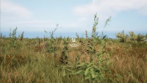Realistic Grass | Unreal Engine 5