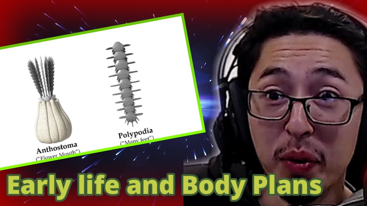 Reacting to Alien Biospheres: Part 2 - Early life and Body Plans | planet crafting Reaction