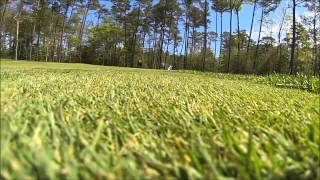 Foozle Cup 2013 Golf Day1   War Admiral