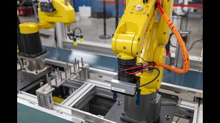 Robotic Tray Packing Module