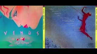 「Automatic Collect, Automatic Correct」Logic System / Venus