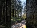 When the Oregon trail runs beside the river #nature #oregon #trail