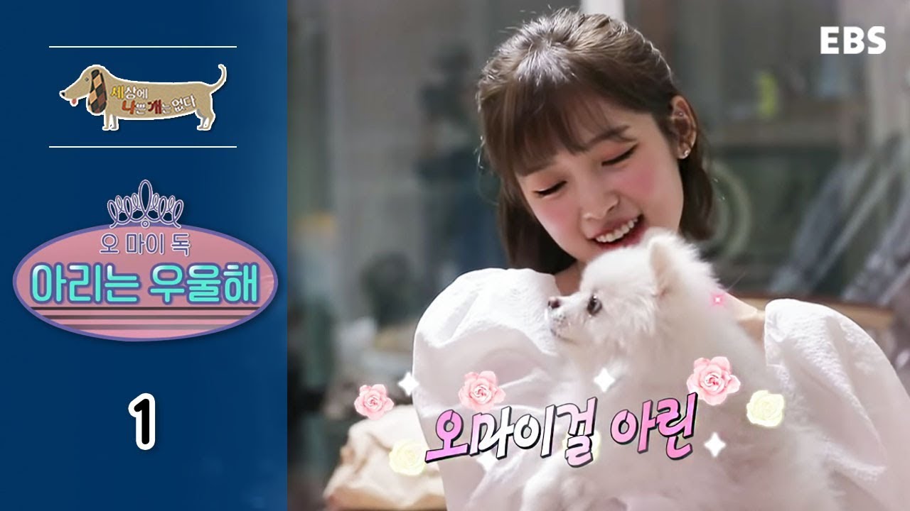 세상에 나쁜 개는 없다 - 오 마이 독 아리는 우울해_#001