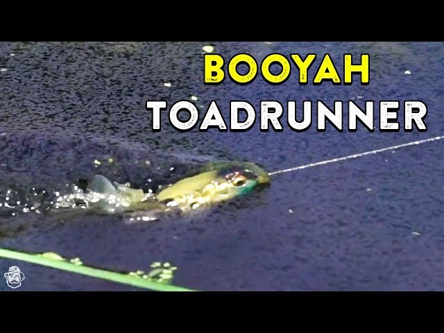 Booyah Toad Runner Jr. – Fillet & Release Outdoors