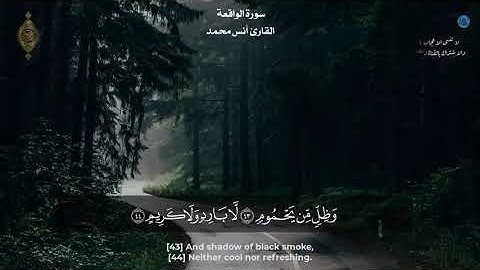 صدقاً !! صوته ينقي القلوب من الحزن لجماله 😍 تلاوة ممتعة || القارئ #انس_محمد سورة الواقعة - كاملة