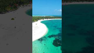Imagine Staying at this Tropical Island in India 😍 Bangaram Atoll #lakshadweep #shorts