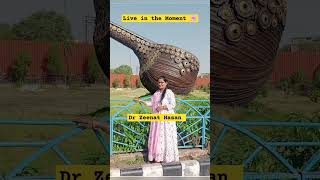 Dr Zeenat Hasan #shorts