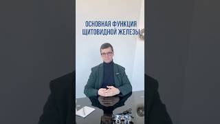 Основная функция щитовидной железы