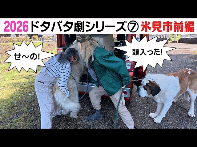 2026狂犬病予防注射会場のドタバタ劇⑦ 氷見市前編 - YouTube