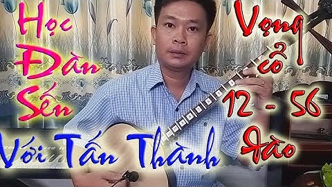 Đàn sến vọng cổ 12 56 dây đào | Tấn Thành Bàu Năng