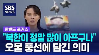 '북한이 정말 많이 아프구나' 오물 풍선에 담긴 의미 / SBS / 한반도 포커스