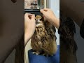 頭や顔は撫でても許される でも翼は許さないフクロウ V Shorts 頭や顔は撫でても許される でも翼は許さないフクロウ V Shorts