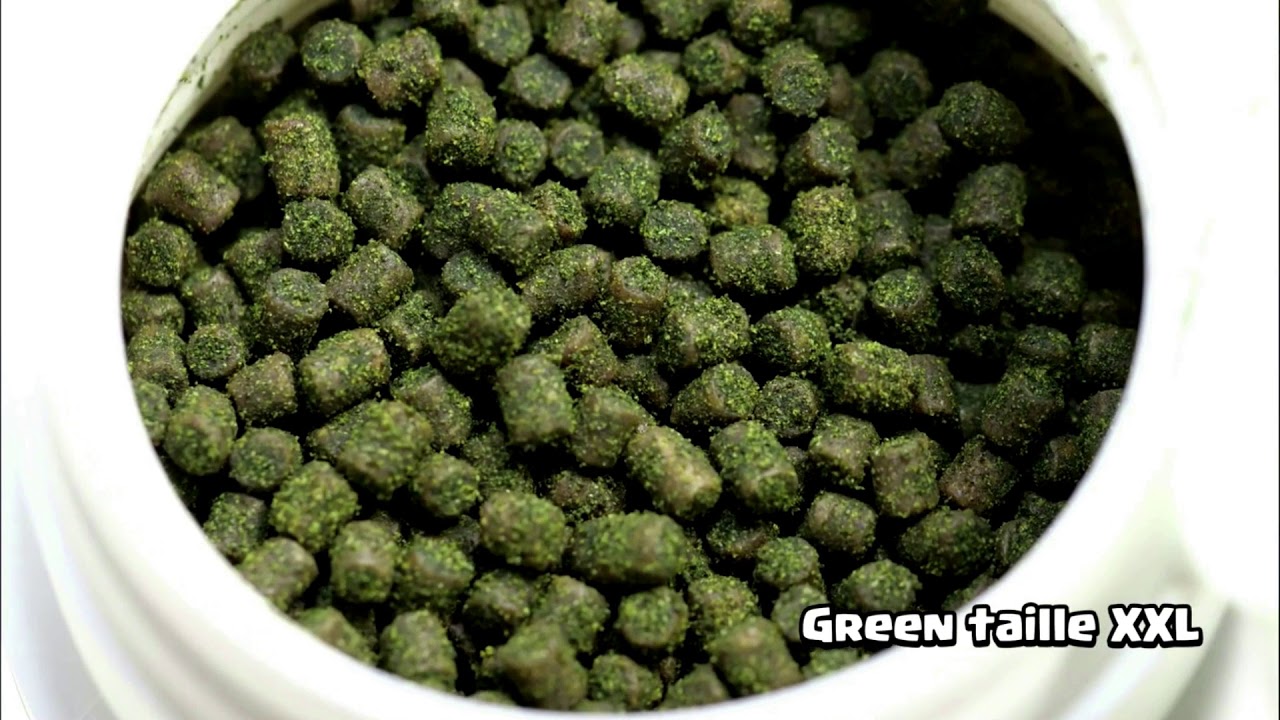 DR. BASSLEER BIOFISH FOOD granulates