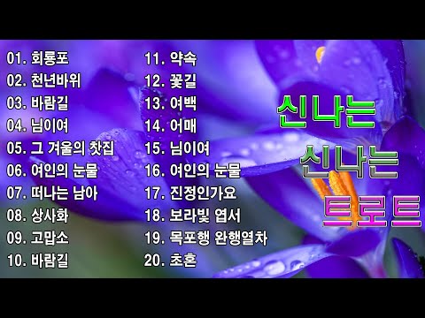 신나는 신나는 트로트 KPOP TROT PLAYLIST