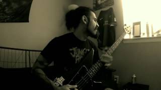 In Flames - Fear is the Weakness ( Bass Cover )