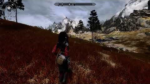 Skyrim SE Shadow Bug