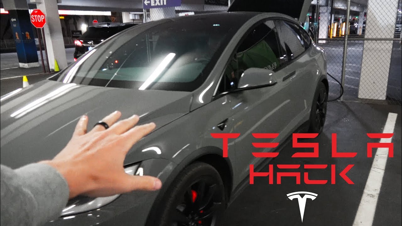 Tesla park live