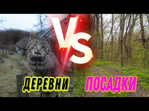 Металлокоп в ПОСАДКЕ или ДЕРЕВНЕ?! Часть 4 #коп #hunting #treasure #металлокоп #md #кладоискатели