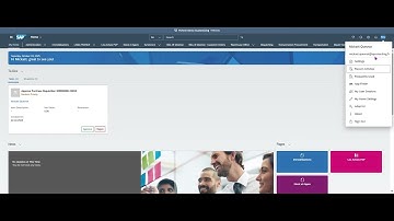 J60   Scheduling Payment Proposals and Managing Supplier Line Items 💼