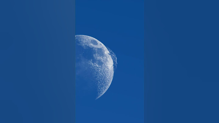 Have you ever seen a creature on the moon? #shorts #creature #moon