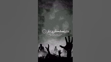 القارئ | شريف مصطفى🤎