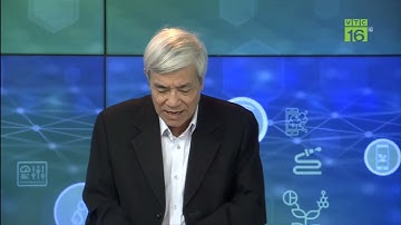 Nguyên nhân và cách khắc phục cá trắm có dấu hiệu bong vẩy, thân đỏ, lờ đờ rồi chết