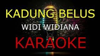 KADUNG BELUS_WIDI WIDIANA_KARAOKE🎤