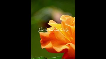 سورة الكهف الايه 94./قالوا ياذا القرنين .