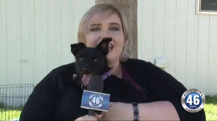 Kpvm News 46 07/25/18 3 of 4