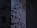 The Sea Remembers | Calm Waves from Above