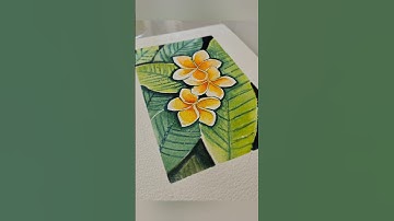 frangipani #art #tutorial #painting #watercolor #diy #goodvibes #flowers #youtubeshorts #viral #vlog