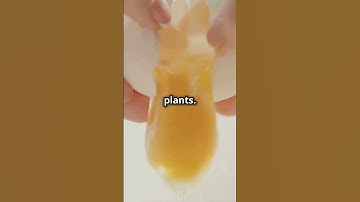 Eggshell Fertilizer: The Secret to Thriving Plants | 🥚🌱 #gardeninghacks #eggshellfertilizer #shorts
