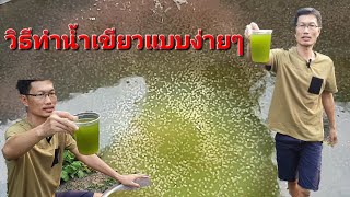 วิธีทำน้ำเขียวแบบง่ายๆทุกขั้นตอน
