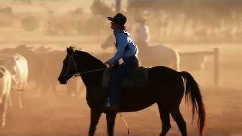 Applying IoT and data analytics to improve performance