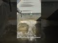 Silicon carbide membrane separation technology: case study on hardness removal in circulating water