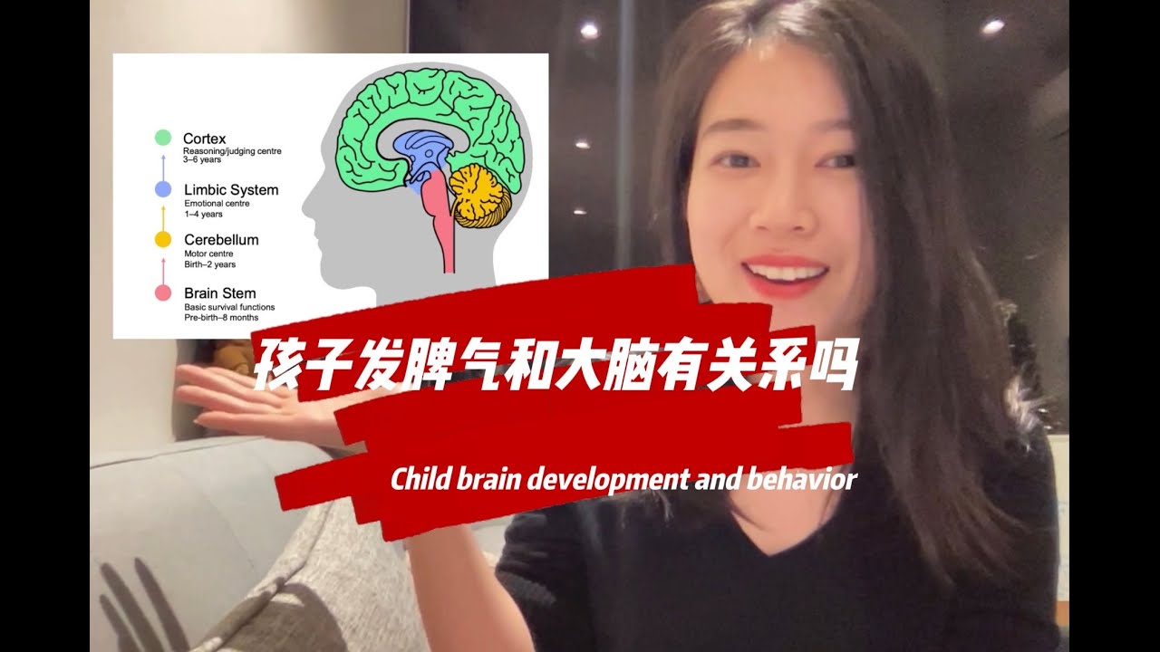 科学早教｜孩子发脾气和大脑有什么关系？Child brain development and behavior