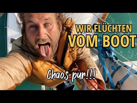 Das pure Chaos