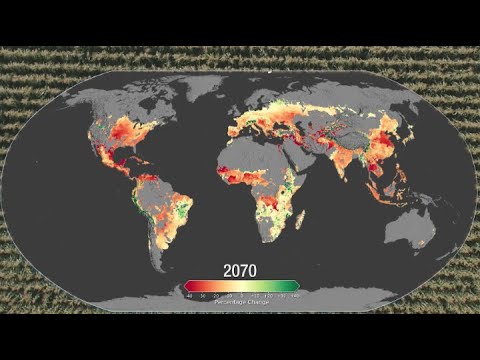 Climate Change Could Affect Global Agriculture Within 10 Years