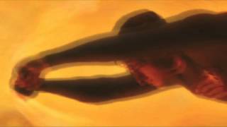 Fotka.pl Kamerki Odcinek - Lelo - Super - Man