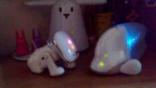 I-Dog And I-Fish Interaction