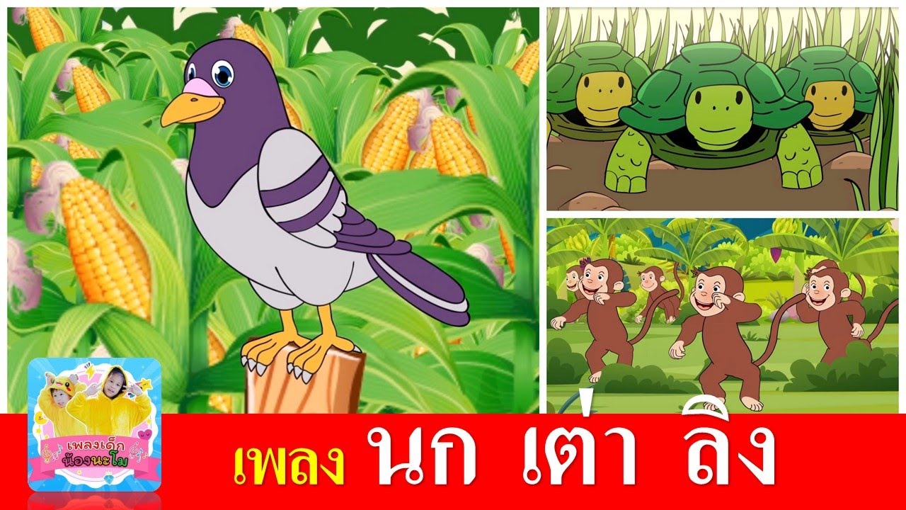 เพลงเด็ก นก เต่า ลิง | นกเขาบินข้ามเขา | เต่าเอ๋ยเต่า | ลิงเจี๊ยกเจี๊ยก