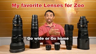 My favorite lenses for photographing in Zoos: Cheap around the world photography trip!