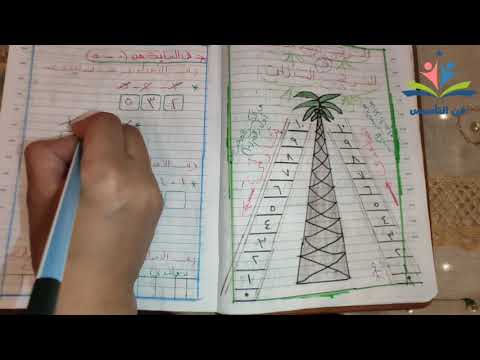 شرح الترتيب التصاعدي التنازلي للطفل بطريقه سهله وبسيطه باستخدام سلم الاعداد والنخله الجزء الاول