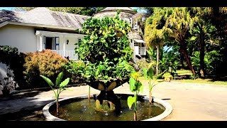 Blue Sky Luxury | Mullins Mill