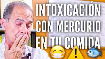 ¿Se puede contraer una intoxicación por mercurio por comer pescado todos los días?