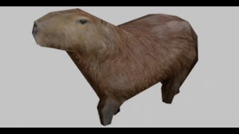Top 5 Scariest Jumpscares Capybara Edition